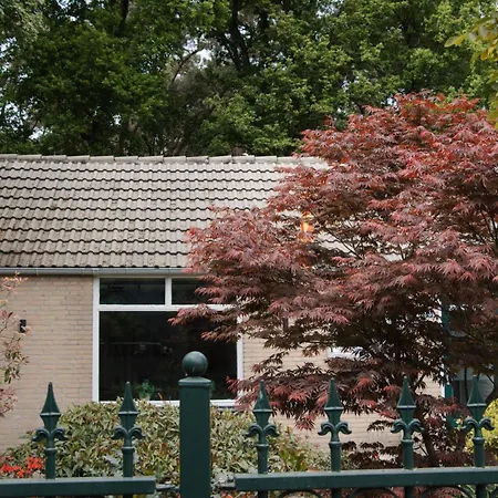 Cozy Forest Cabin, Fenced Garden, Peace & Privacy דירה