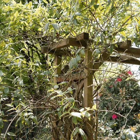 Апартаменты Cozy Forest Cabin, Fenced Garden, Peace & Privacy