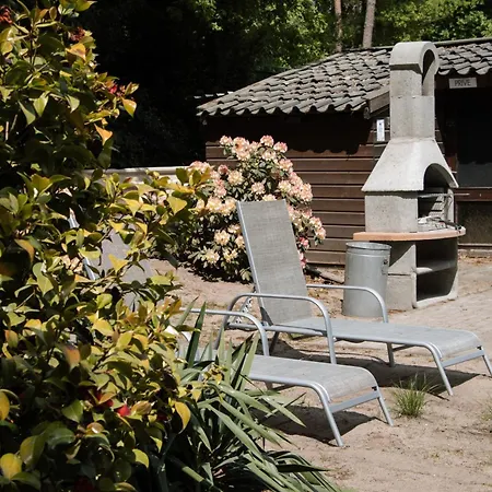 Апартаменты Cozy Forest Cabin, Fenced Garden, Peace & Privacy Luyksgestel