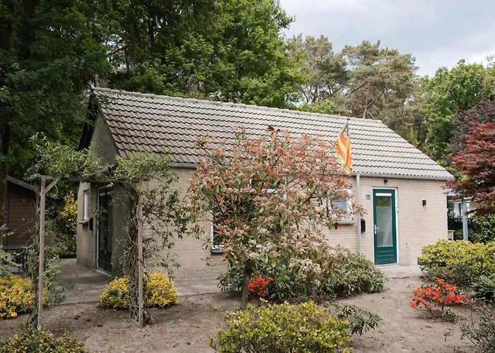 Apartment Cozy Forest Cabin, Fenced Garden, Peace & Privacy Luyksgestel