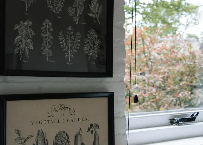 Apartment Cozy Forest Cabin, Fenced Garden, Peace & Privacy