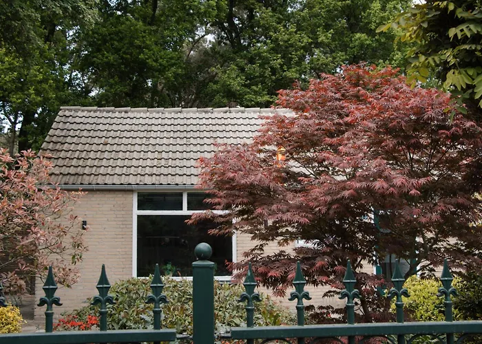 Cozy Forest Cabin, Fenced Garden, Peace & Privacy Apartment