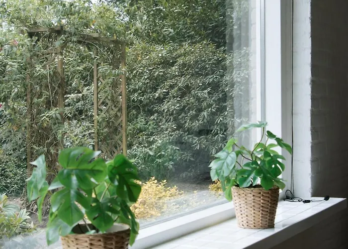 Cozy Forest Cabin, Fenced Garden, Peace & Privacy Luyksgestel