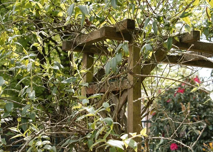 Apartment Cozy Forest Cabin, Fenced Garden, Peace & Privacy