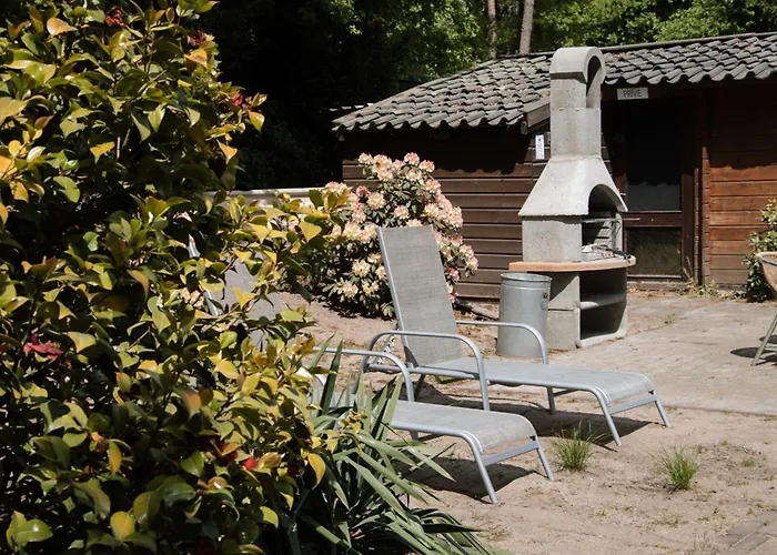 Apartment Cozy Forest Cabin, Fenced Garden, Peace & Privacy Luyksgestel