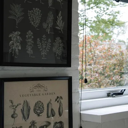 Apartman Cozy Forest Cabin, Fenced Garden, Peace & Privacy