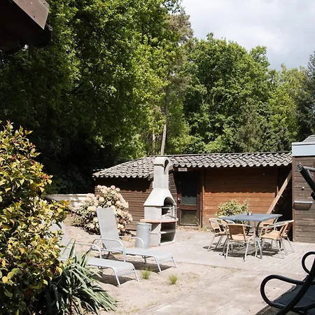 Apartman Cozy Forest Cabin, Fenced Garden, Peace & Privacy