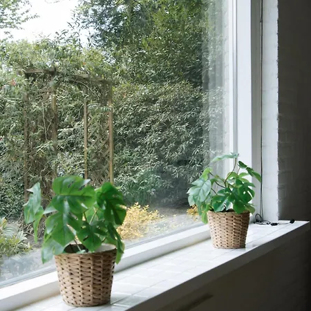 Cozy Forest Cabin, Fenced Garden, Peace & Privacy Luyksgestel